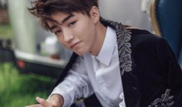 娱乐爆料王俊凯恋情视频,甜蜜视频引网友热议