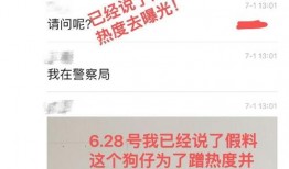 狗仔发文爆料视频大全,视频大全揭秘娱乐圈幕后真相